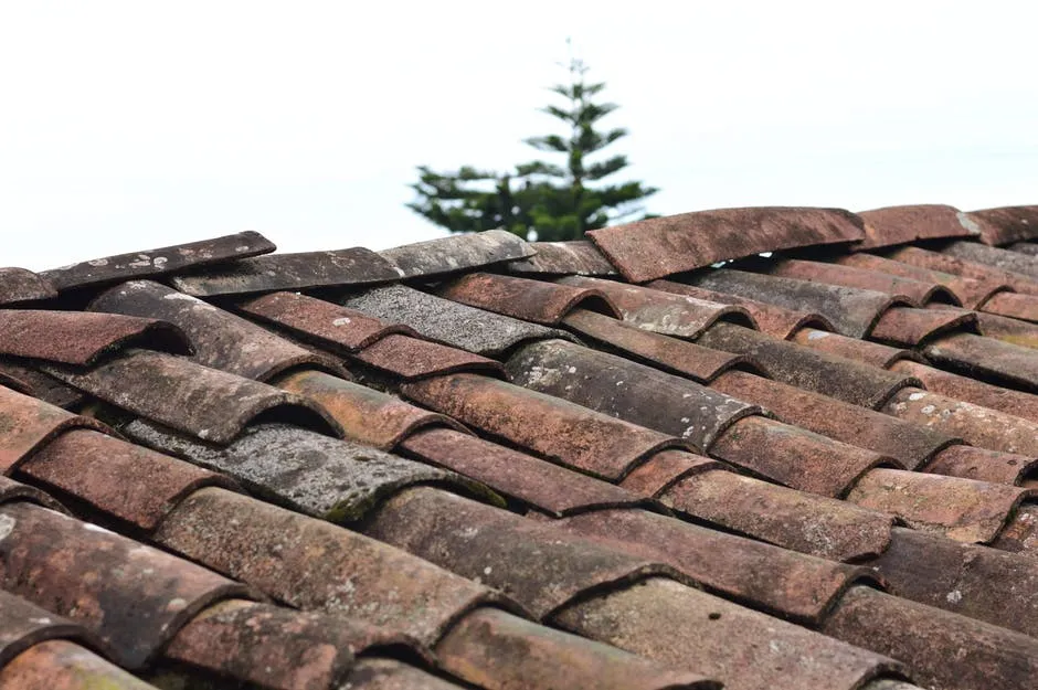 tile roof